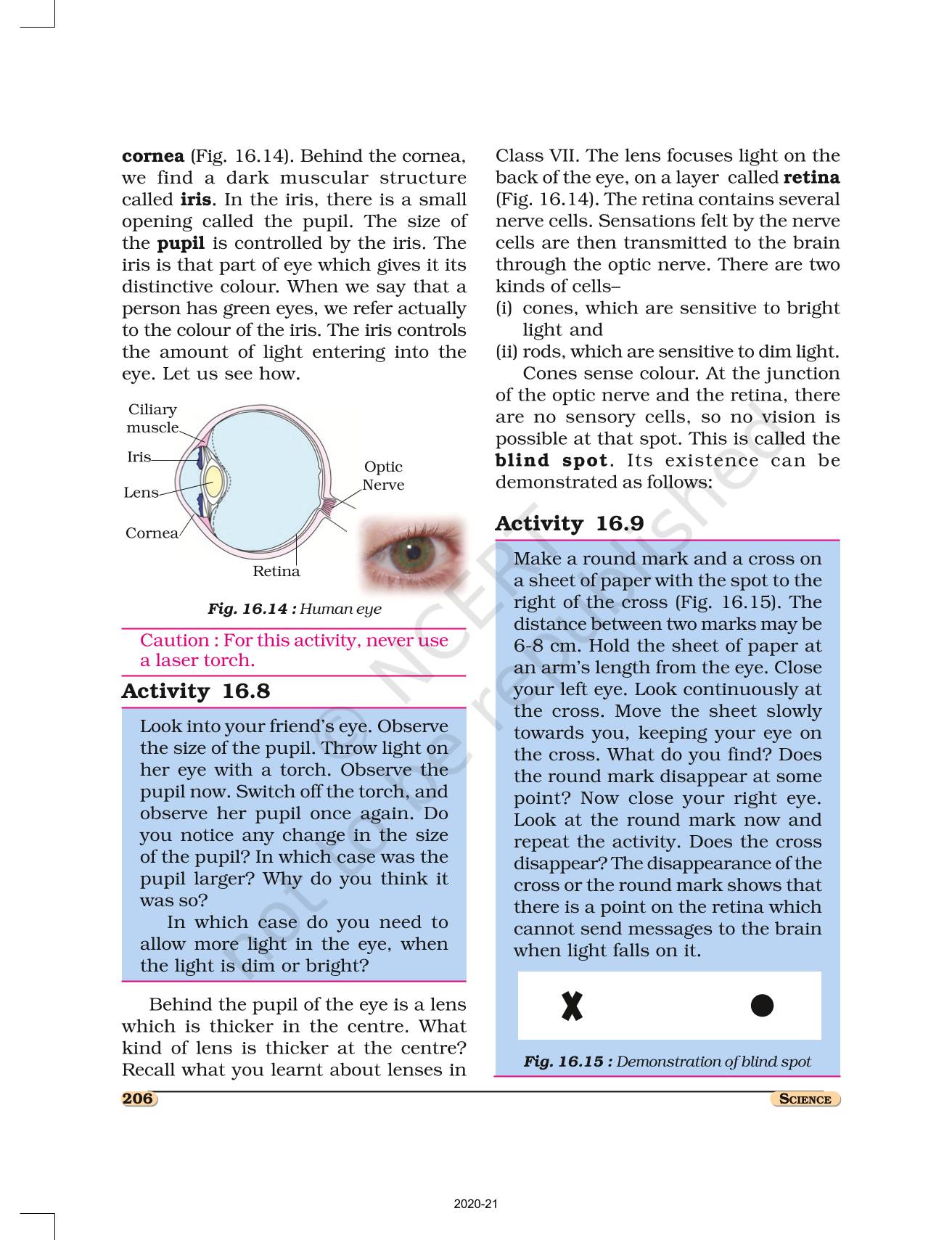 Light Ncert Book Of Class 8 Science 8865